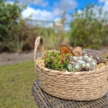 Met Privetuin In - Vp063 Chalet Someren