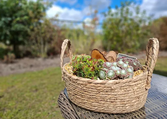 Met Privétuin In - Vp063 Chalet Someren